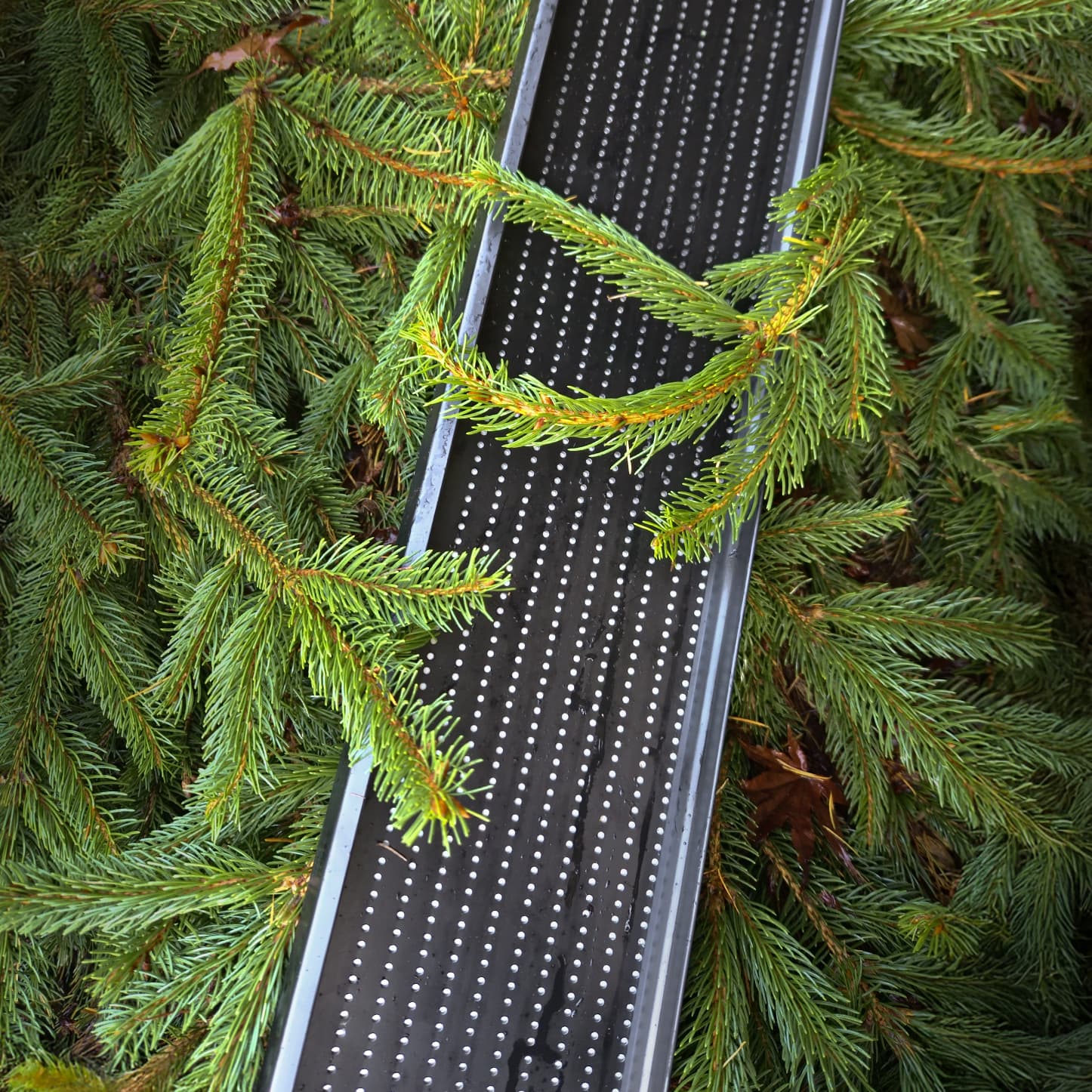 Alu-Rex Continuous Hanger - Pine Needles Protection