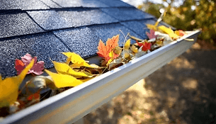 Gutter Cleaning